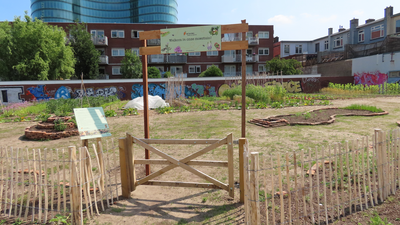 915074 Gezicht op de onlangs aangelegde moestuin in de 'Tuin van Croese' te Utrecht, met op de achtergrond de ...